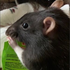 Meet your Posher, Kira